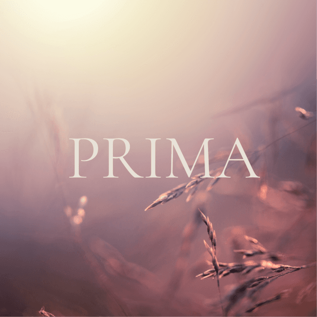 Skin Progression | SEVENTY-FIVE at Alchemy | Skin in Issaquah, WA