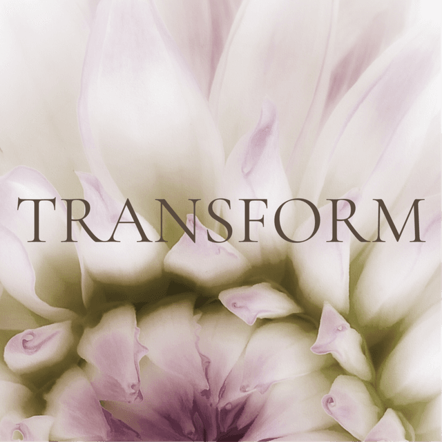 Skin Progression | NINETY at Alchemy | Skin in Issaquah, WA