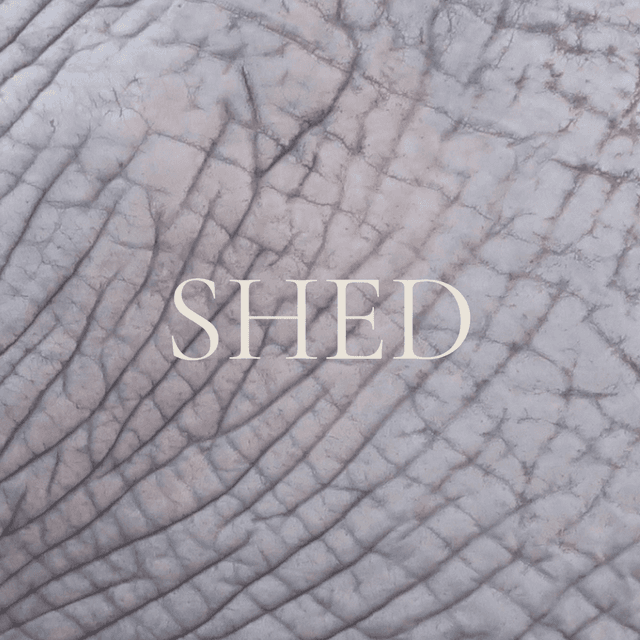 The Peel Club at Alchemy | Skin in Issaquah, WA